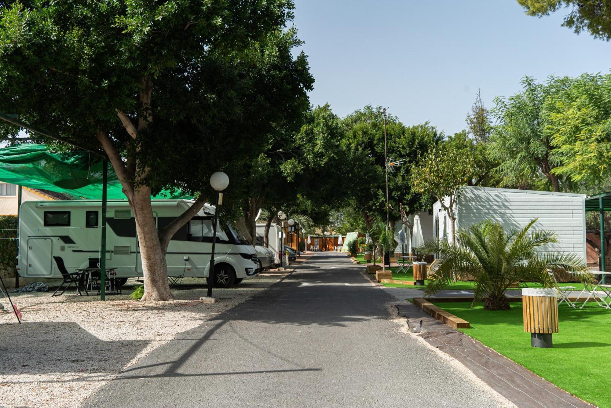 Camping Las Palmeras Crevillente Exterior foto