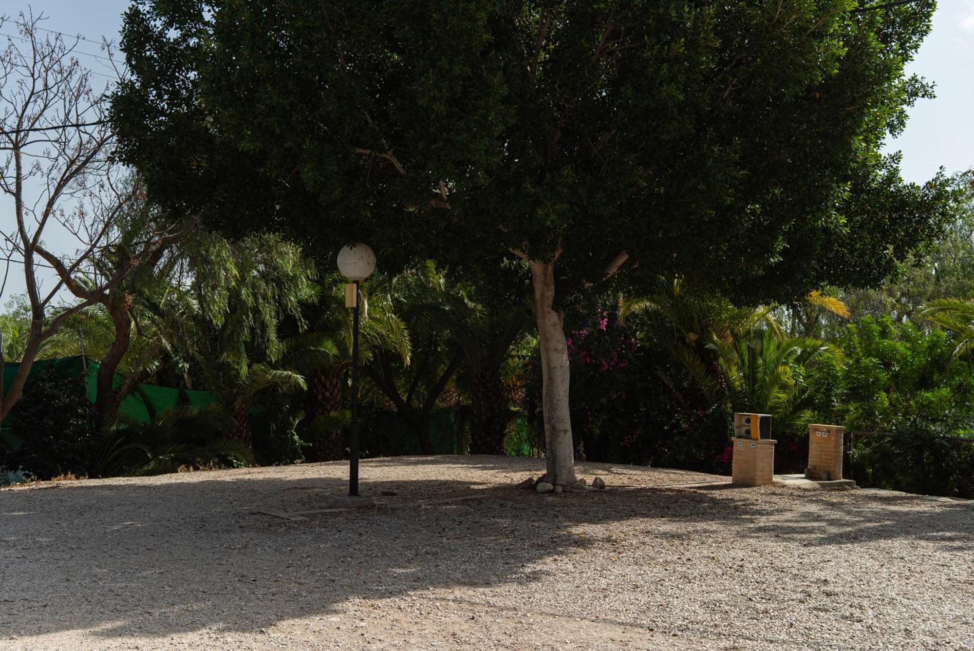 Camping Las Palmeras Crevillente Exterior foto